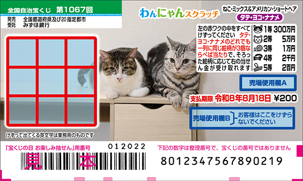 「わんにゃんスクラッチ ねこ・ミックス＆アメリカン・ショートヘア タテ・ヨコ・ナナメ」（第1067回 全国自治宝くじ）
