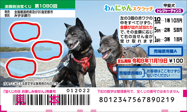 「わんにゃんスクラッチ 甲斐犬 トレジャーチャンス」（第1080回 全国自治宝くじ）