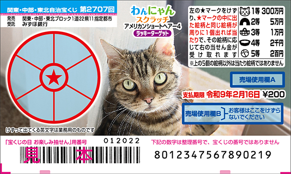 「わんにゃんスクラッチ アメリカンショートヘアー4 ラッキーターゲット」（第2707回 関東・中部・東北自治宝くじ）