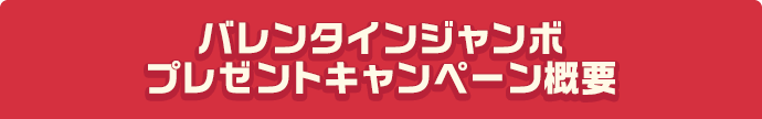 バレンタインジャンボプレゼントキャンペーン概要