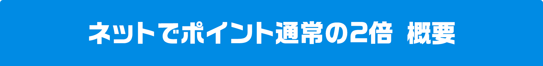 ネットでポイント通常の2倍 概要