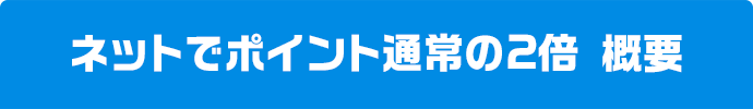 ネットでポイント通常の2倍 概要