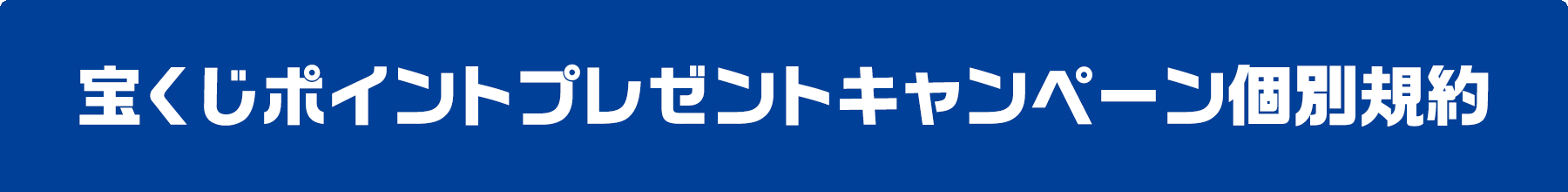 宝くじポイントプレゼントキャンペーン個別規約