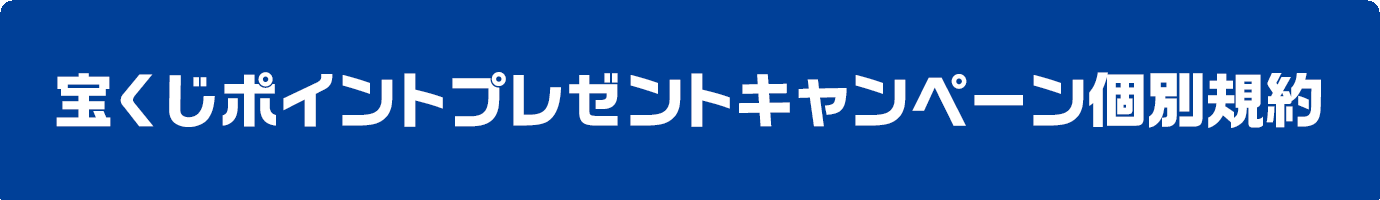 宝くじポイントプレゼントキャンペーン個別規約