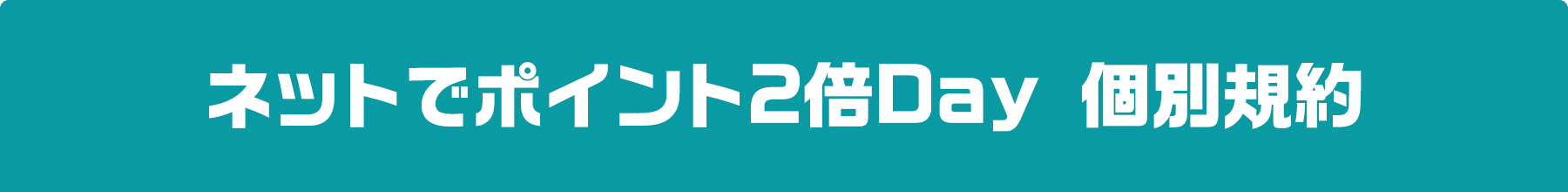 ネットでポイント2倍Day 個別規約