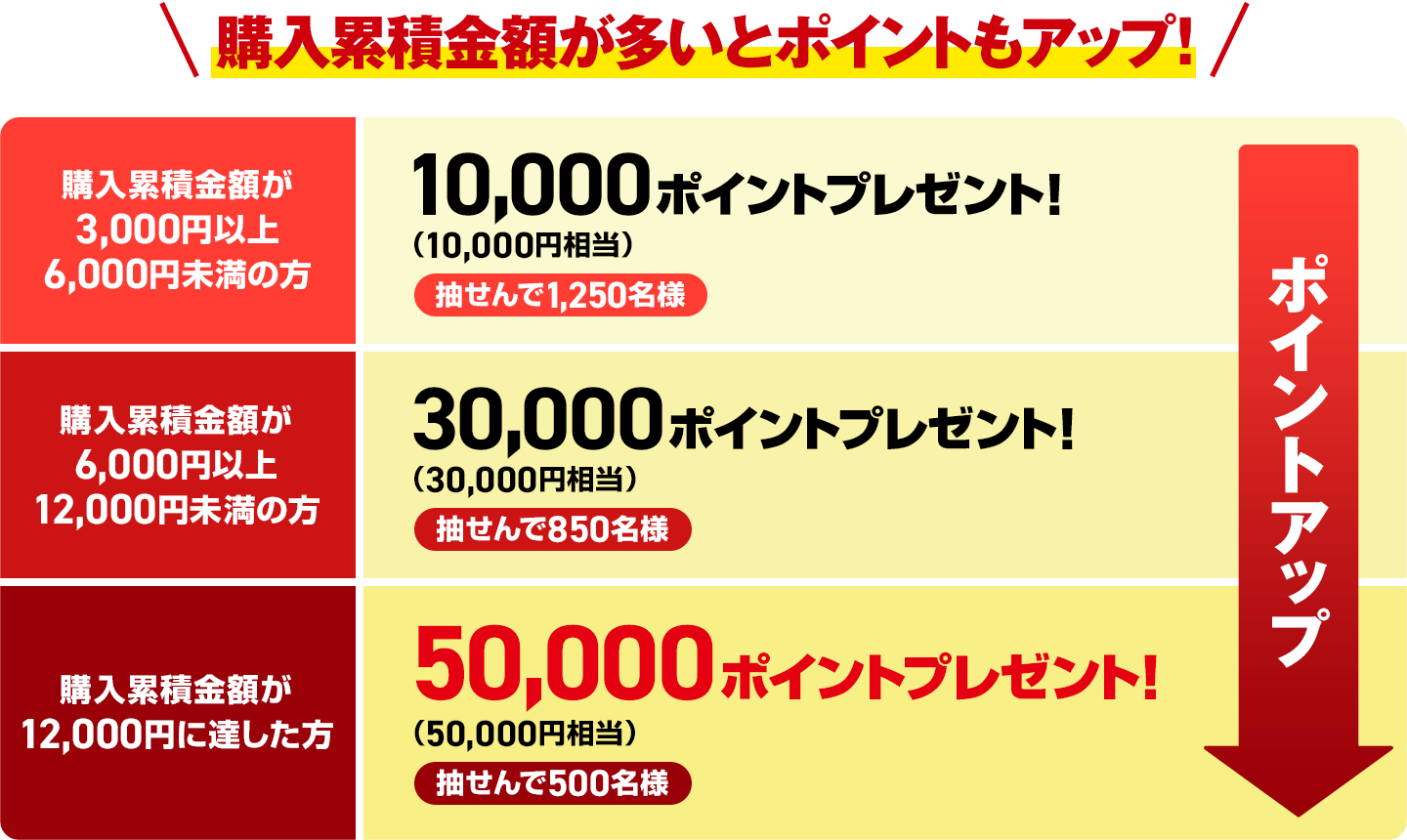 購入累積金額が多いとポイントもアップ!購入累積金額が3,000円以上6,000円未満の方 10,000ポイントプレゼント!(10,000円相当)抽せんで1,250名様 購入累積金額が6,000円以上12,000円未満の方 30,000ポイントプレゼント!(30,000円相当)抽せんで850名様 購入累積金額が12,000円に達した方 50,000ポイントプレゼント!(50,000円相当)抽せんで500名様 ポイントアップ