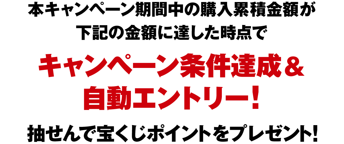 本キャンペーン期間中の購入累積金額が下記の金額に達した時点でキャンペーン条件達成＆自動エントリー！抽せんで宝くじポイントをプレゼント！