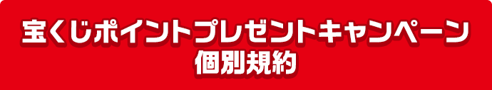 宝くじポイントプレゼントキャンペーン個別規約