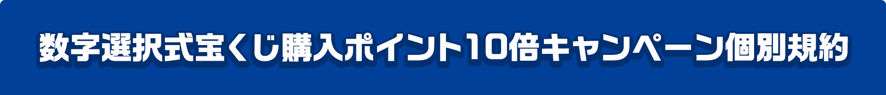 数字選択式宝くじ購入ポイント10倍キャンペーン個別規約