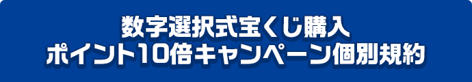 数字選択式宝くじ購入ポイント10倍キャンペーン個別規約