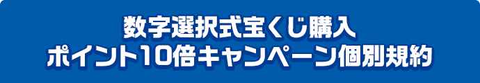 数字選択式宝くじ購入ポイント10倍キャンペーン個別規約