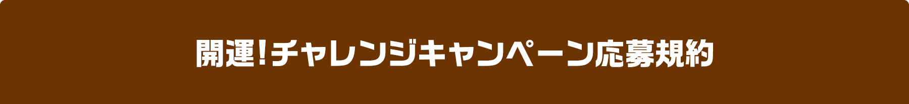 開運!チャレンジキャンペーン応募規約