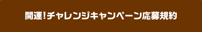 開運!チャレンジキャンペーン応募規約