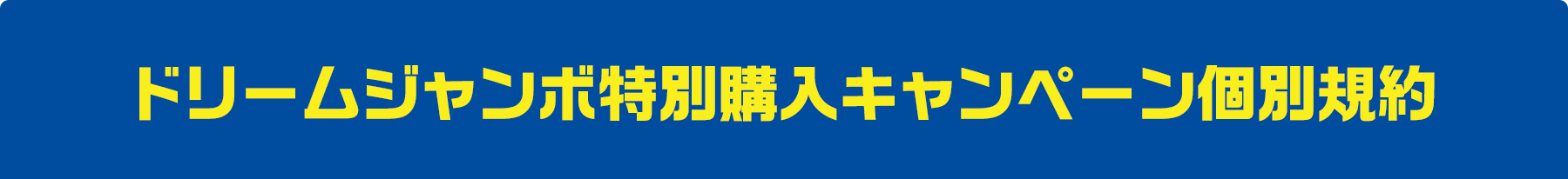ドリームジャンボ特別購入キャンペーン個別規約