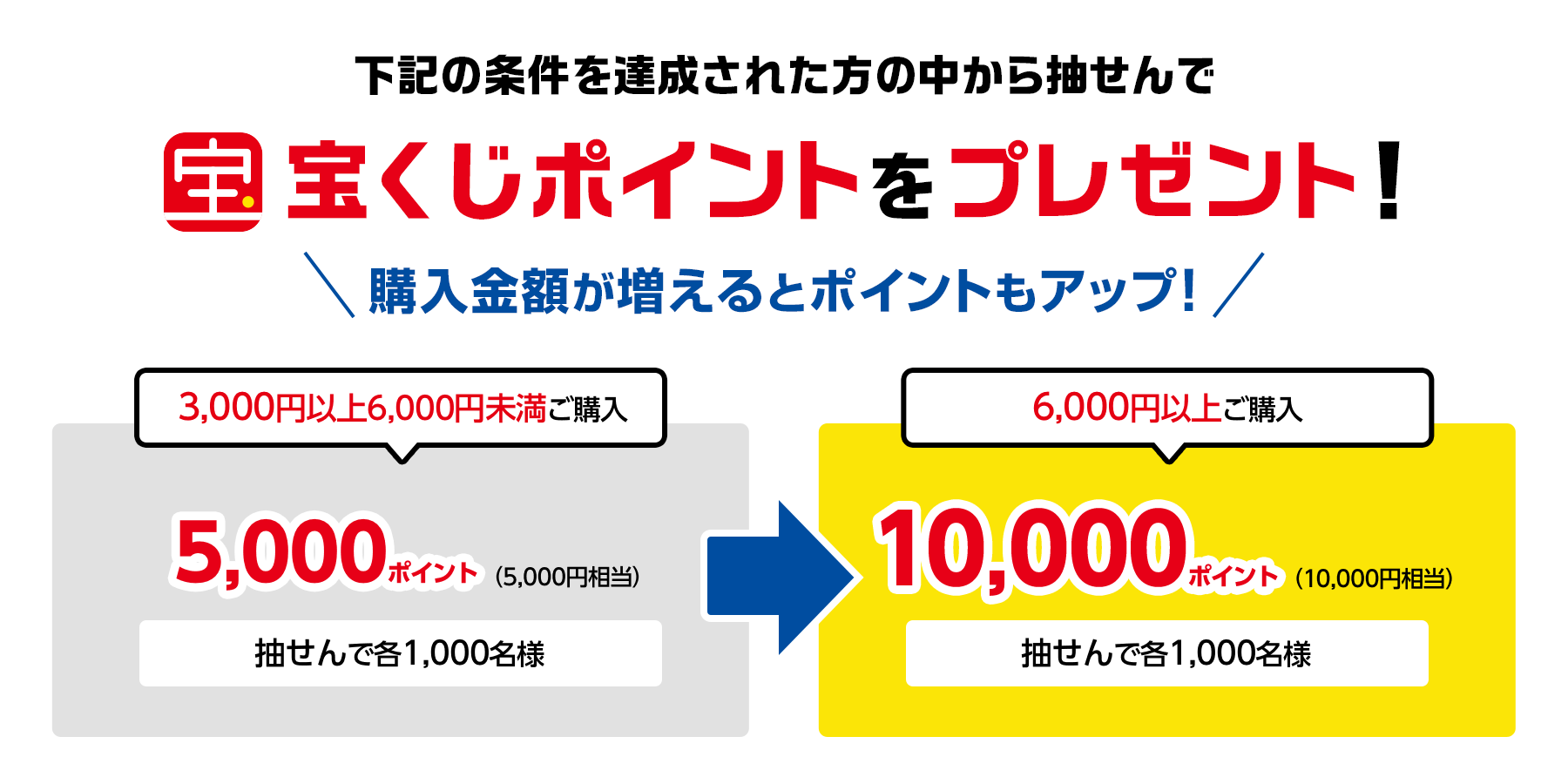下記の条件を達成された方の中から抽せんで宝くじポイントをプレゼント!購入金額が増えるとポイントもアップ! 3,000円以上6,000円未満ご購入5,000ポイント(5,000円相当)抽せんで各1,000名様 6,000円以上ご購入10,000ポイント(10,000円相当)抽せんで各1,000名様