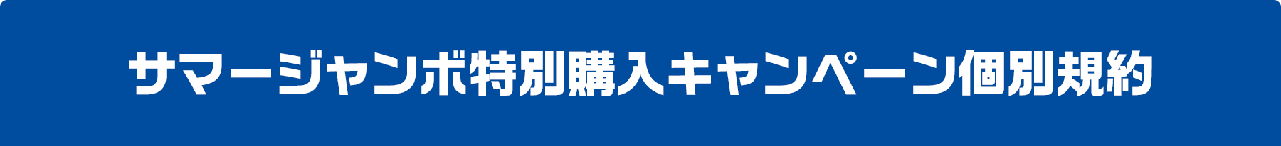 サマージャンボ特別購入キャンペーン個別規約