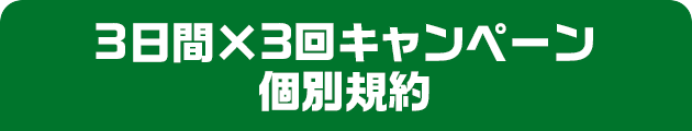 3日間×3回キャンペーン個別規約