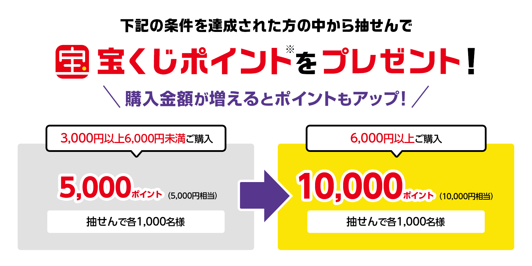 下記の条件を達成された方の中から抽せんで宝くじポイント※をプレゼント!購入金額が増えるとポイントもアップ! 3,000円以上6,000円未満ご購入5,000ポイント(5,000円相当)抽せんで各1,000名様 6,000円以上ご購入10,000ポイント(10,000円相当)抽せんで各1,000名様