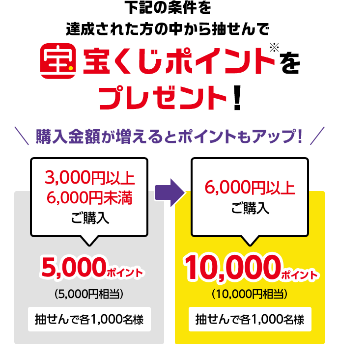 下記の条件を達成された方の中から抽せんで宝くじポイント※をプレゼント!購入金額が増えるとポイントもアップ! 3,000円以上6,000円未満ご購入5,000ポイント(5,000円相当)抽せんで各1,000名様 6,000円以上ご購入10,000ポイント(10,000円相当)抽せんで各1,000名様
