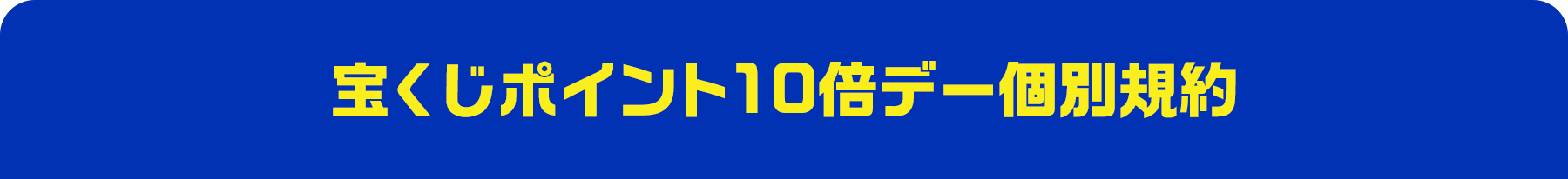 宝くじポイント10倍デー個別規約