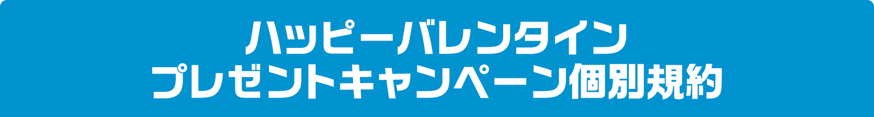 ハッピーバレンタインプレゼントキャンペーン個別規約
