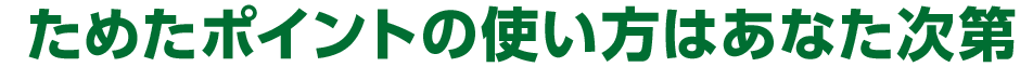 ためたポイントの使い方はあなた次第！