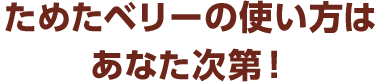 ためたベリーの使い方はあなた次第！