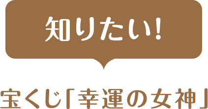 宝くじ 幸運の女神 募集