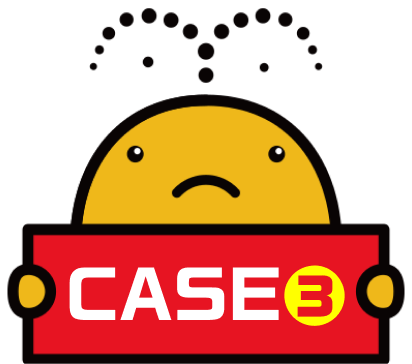 Case3