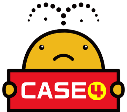 Case4